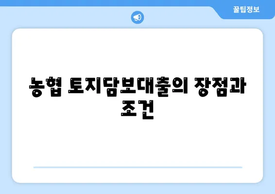 농협·수협·신협·새마을금고 토지담보대출 요점 및 신청 방법 안내 | 대출, 금융, 토지담보대출