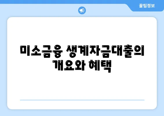 미소금융 창업운영 생계자금대출과 햇살론의 차이점 정리! | 창업자금, 대출 비교, 금융 지원"