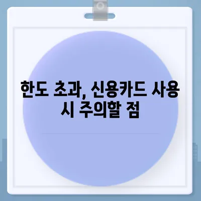 신용카드 잔여한도 정확한 인정 방법과 확인 팁 | 신용카드, 한도 확인, 금융 가이드