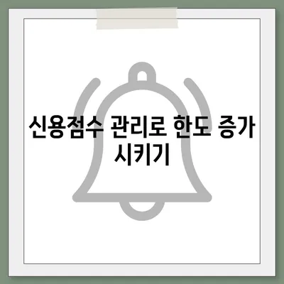 신용카드 한도 정확하게 인정받기 위한 5가지 팁 | 신용카드, 한도 증액, 금융 팁