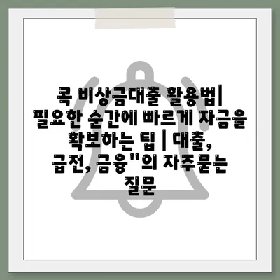 콕 비상금대출 활용법| 필요한 순간에 빠르게 자금을 확보하는 팁 | 대출, 급전, 금융"