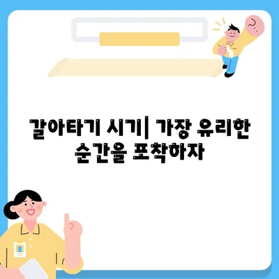 단위조합 DSR 예외 후순위 아파트 담보 대출 갈아타기 방법 | 대출, 금융 꿀팁, 재정 관리