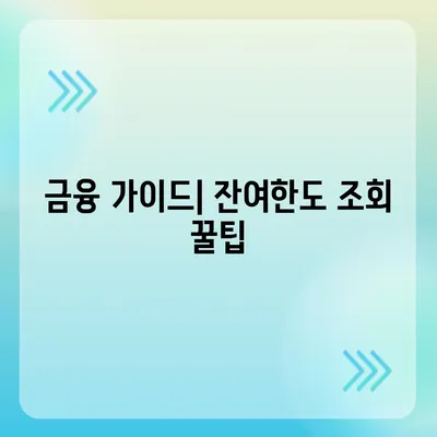 신용카드 잔여한도 정확한 인정 방법과 확인 팁 | 신용카드, 한도 확인, 금융 가이드