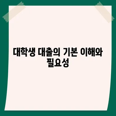 대학생 대출이 미치는 장기적인 재무 영향