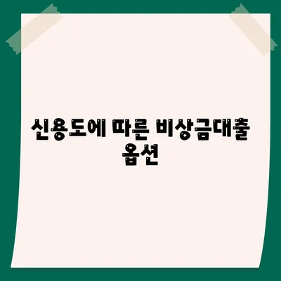 비상금대출 가능한 곳 찾기| 쉽고 빠른 방법 안내 | 대출, 긴급자금, 금융 팁