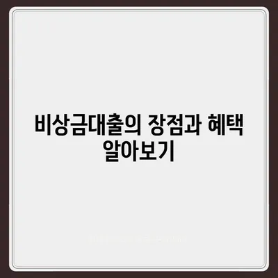 카카오뱅크 비상금대출 방법| 쉽고 빠르게 신청하는 팁!