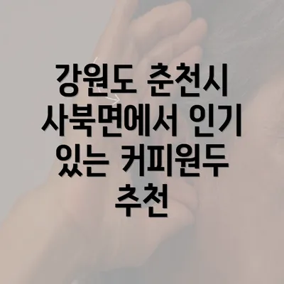 강원도 춘천시 사북면에서 인기 있는 커피원두 추천