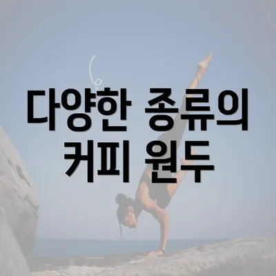 다양한 종류의 커피 원두