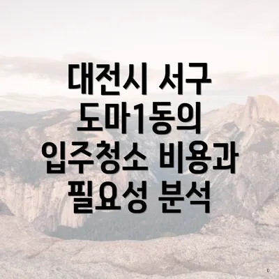 대전시 서구 도마1동의 입주청소 비용과 필요성 분석