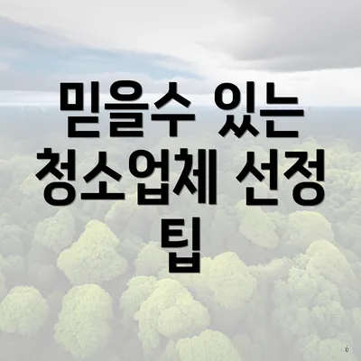 믿을수 있는 청소업체 선정 팁