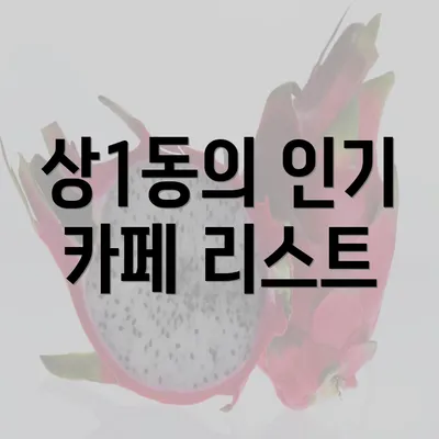 상1동의 인기 카페 리스트