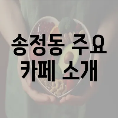 송정동 주요 카페 소개