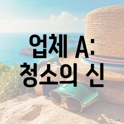 업체 A: 청소의 신