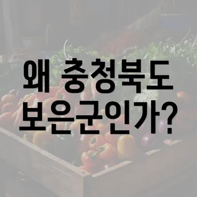 왜 충청북도 보은군인가?