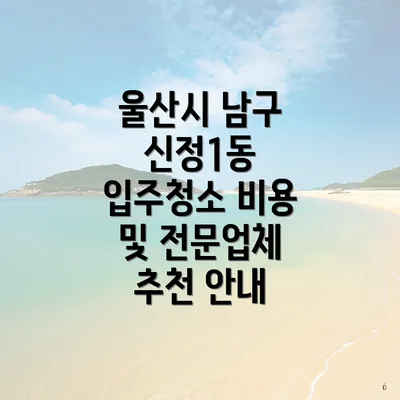 울산시 남구 신정1동 입주청소 비용 및 전문업체 추천 안내