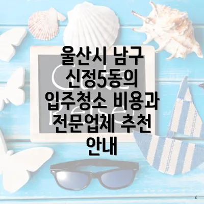 울산시 남구 신정5동의 입주청소 비용과 전문업체 추천 안내