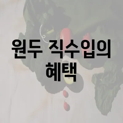 원두 직수입의 혜택