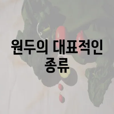 원두의 대표적인 종류