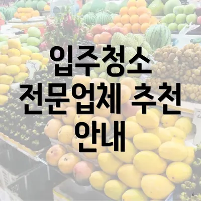 입주청소 전문업체 추천 안내