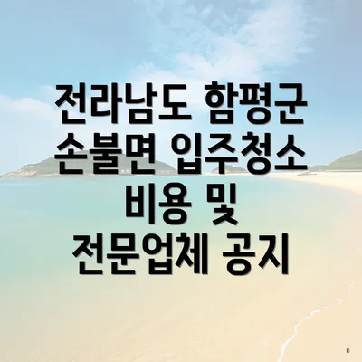 전라남도 함평군 손불면 입주청소 비용 및 전문업체 공지