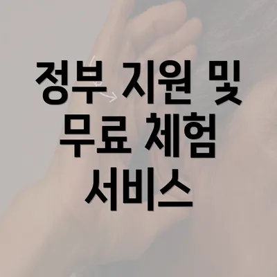 정부 지원 및 무료 체험 서비스