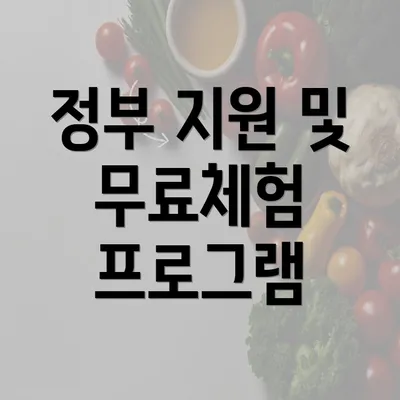 정부 지원 및 무료체험 프로그램