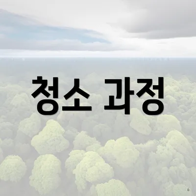 청소 과정