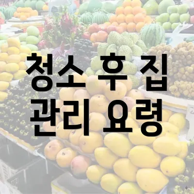 청소 후 집 관리 요령