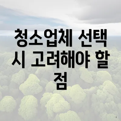 청소업체 선택 시 고려해야 할 점