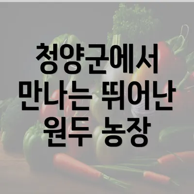 청양군에서 만나는 뛰어난 원두 농장