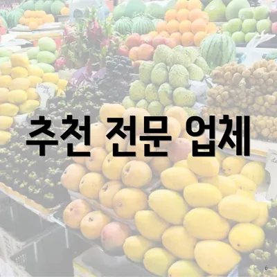 추천 전문 업체