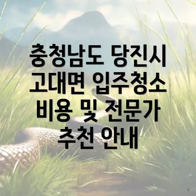 충청남도 당진시 고대면 입주청소 비용 및 전문가 추천 안내