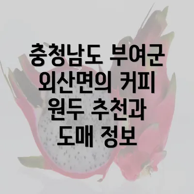 충청남도 부여군 외산면의 커피 원두 추천과 도매 정보