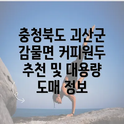 충청북도 괴산군 감물면 커피원두 추천 및 대용량 도매 정보