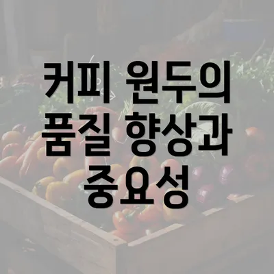 커피 원두의 품질 향상과 중요성