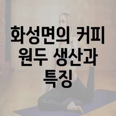 화성면의 커피 원두 생산과 특징