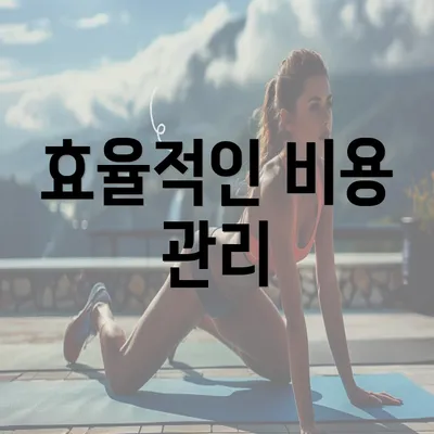 효율적인 비용 관리