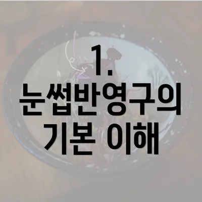 1. 눈썹반영구의 기본 이해