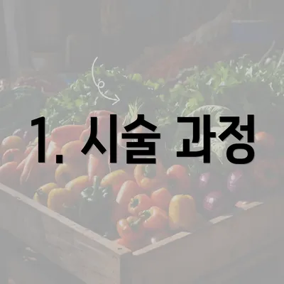 1. 시술 과정