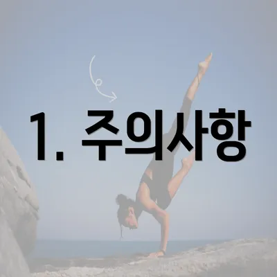 1. 주의사항