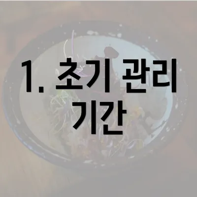 1. 초기 관리 기간