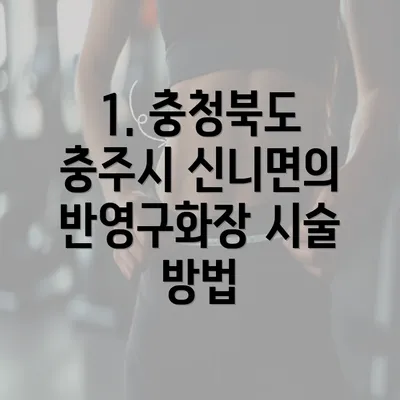 1. 충청북도 충주시 신니면의 반영구화장 시술 방법