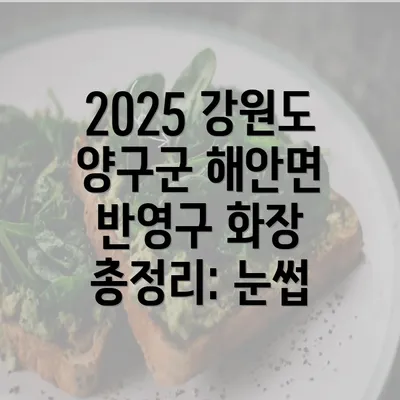 2025 강원도 양구군 해안면 반영구 화장 총정리: 눈썹