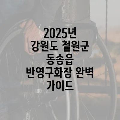 2025년 강원도 철원군 동송읍 반영구화장 완벽 가이드