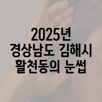 2025년 경상남도 김해시 활천동의 눈썹