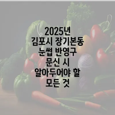 2025년 김포시 장기본동 눈썹 반영구 문신 시 알아두어야 할 모든 것