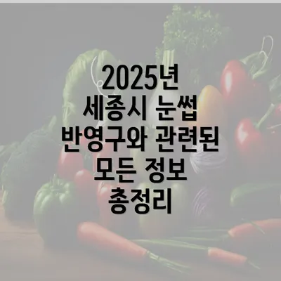 2025년 세종시 눈썹 반영구와 관련된 모든 정보 총정리