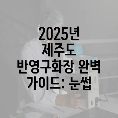 2025년 제주도 반영구화장 완벽 가이드: 눈썹