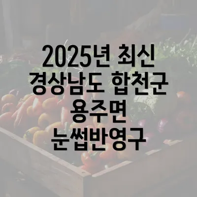 2025년 최신 경상남도 합천군 용주면 눈썹반영구