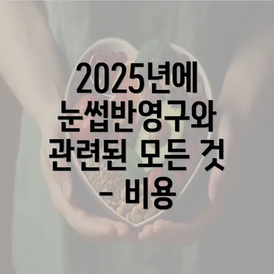 2025년에 눈썹반영구와 관련된 모든 것 - 비용